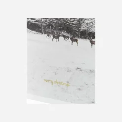 House Doctor Christmas Giftwrapping|Grußkarten, HDWinter w. envelope, Weiß
