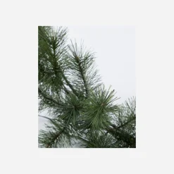 House Doctor Christmas Decor|HDGiant, Natur