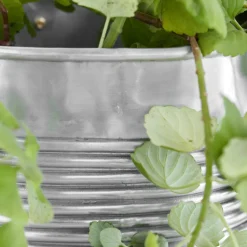 House Doctor Heimdekor|Blumentöpfe Und Übertöpfe|Pflanzer, HDGroove, Antiksilber-Finish