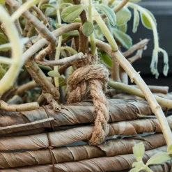 House Doctor Heimdekor|Blumentöpfe Und Übertöpfe|Planter, HDHover, Natural