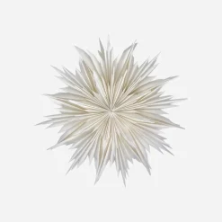 House Doctor Christmas Decor|Stern, HDDust, Off-White