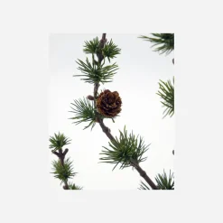 House Doctor Christmas Decor|Weihnachtsbaum, HDStay, Grün