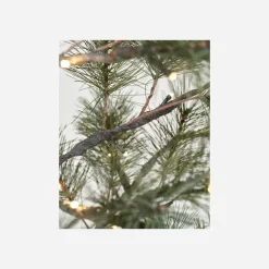 House Doctor Christmas Decor|Weihnachtsbaum, Peuce, Natur